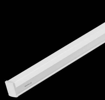 Picture of LED PRIDE PLUS NEO BATTEN 10 W 6500 K/3000 K	Cool Daylight (CDL)