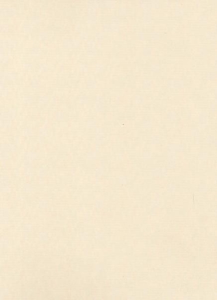 Picture of Texture Finish Liner Laminate - 0.8 mm (80127 GT Almond Ivory 8 ft x 4 ft )