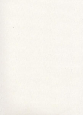 Picture of  Texture Finish Liner Laminate - 0.8 mm (80113 GT Frosty White 8 ft x 4 ft)
