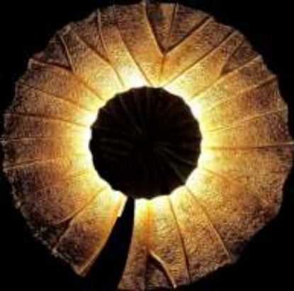 Picture of Light Casa LED D300 WL408868 RESIN GOLD ANTIQUE