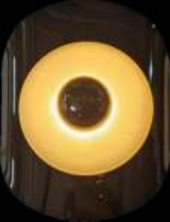 Picture of Light Casa LED D250 LCWL8007 METAL+GLASS GOLD