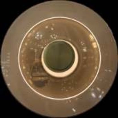 Picture of Light Casa LED D230 2972-230 METAL + GLASS BRASS+ AMBER