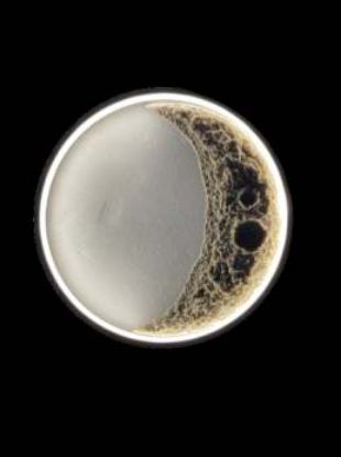 Picture of Light Casa LED D400 B400 METAL+STONE BLACK