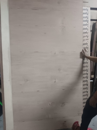 Picture of Flexabl Ply Important Gurjan Fleable Ply For Corve Furniture 8 feet x 4 Feet 06mm