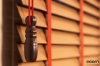 Picture of Wooden Blinds
