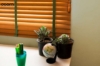 Picture of Wooden Blinds