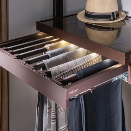 Picture of Wardrobe Pullout 2 - Trouser/ Saree (Soft Close) (With 7 Hangers) - Anthracite