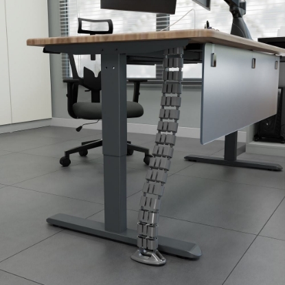 Picture of Vertebrae (Oval)