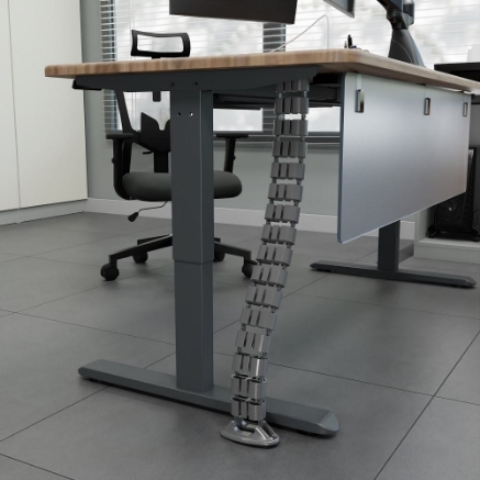 Picture of Vertebrae Oval 1300mm