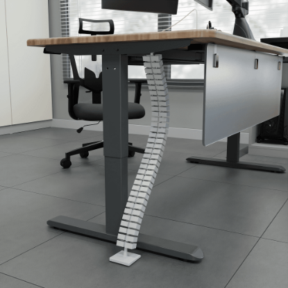 Picture of Vertebrae Rectangular