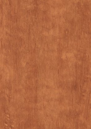 Picture of Light Afro FunderMax, Exterior Grade HPL, Nature NT finish