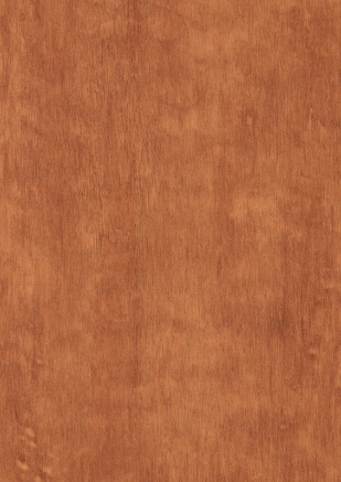 Picture of Light Afro FunderMax, Exterior Grade HPL, Nature NT finish